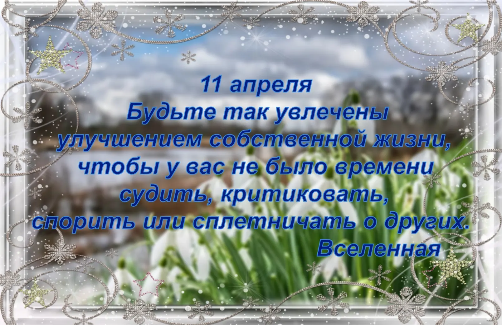 День привлечения внимания, проявленности