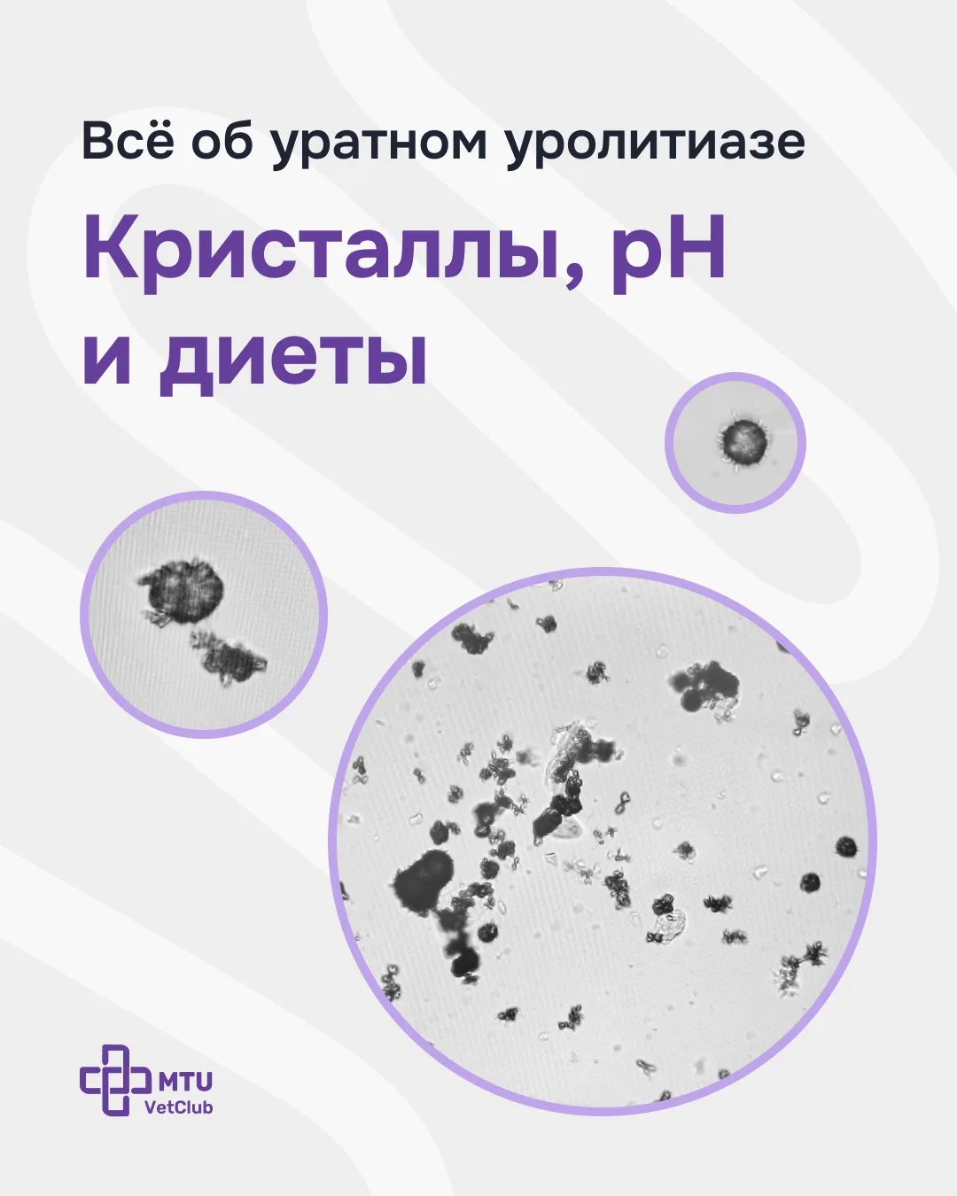 Минутка в ординаторской: уратный уролитиаз

👤 Здравствуйте, котики! С вами снова Ярослав Рябинин. С