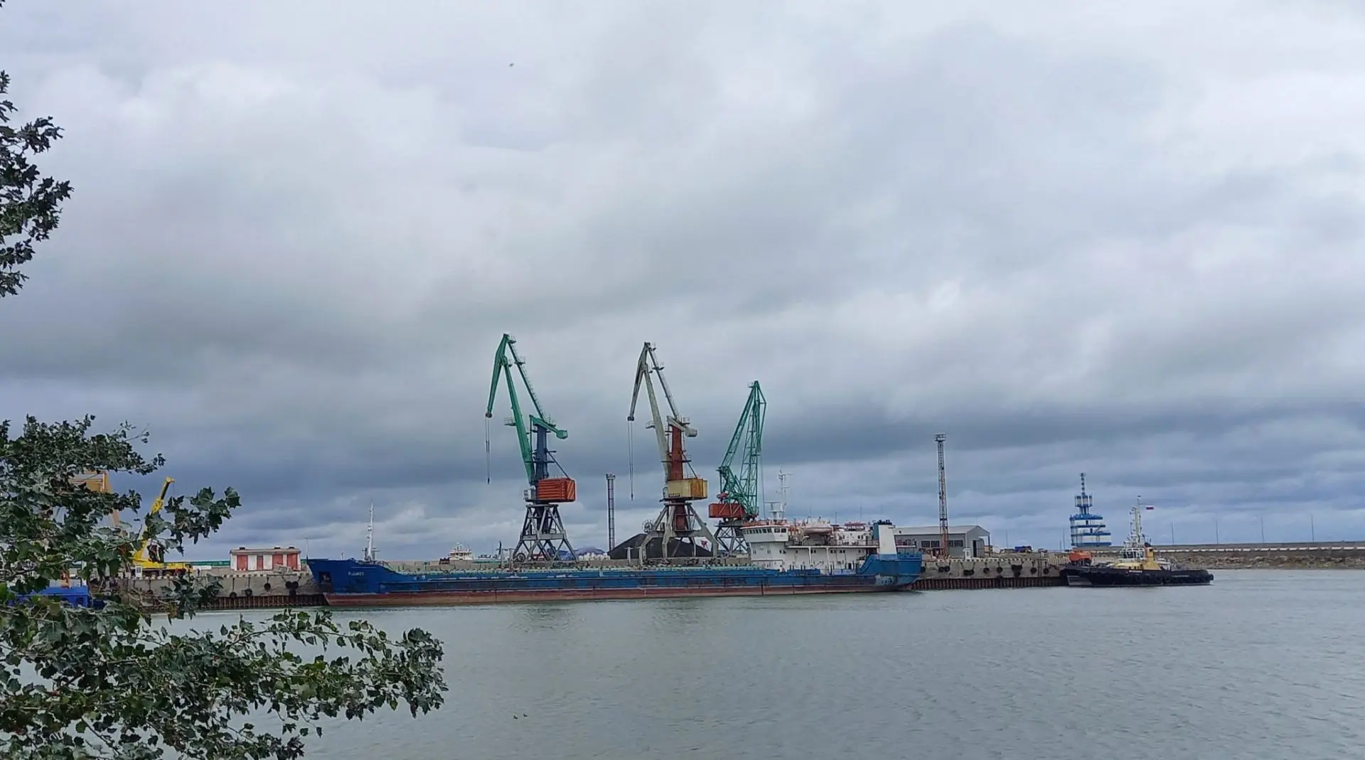 Управлением Россельхознадзора по Республике Дагестан проконтролирован экспорт 29 тысяч тонн зерна из