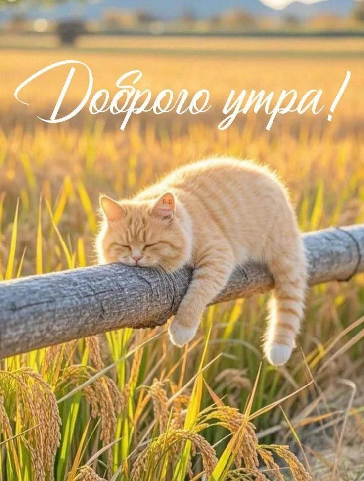 Доброе утро, Волжский МЭИ! ☀️