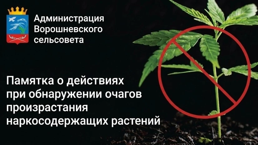 ❗ИНФОРМАЦИОННОЕ СООБЩЕНИЕ❗