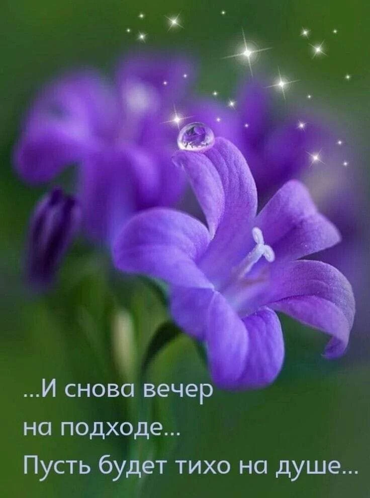 💜💜💜