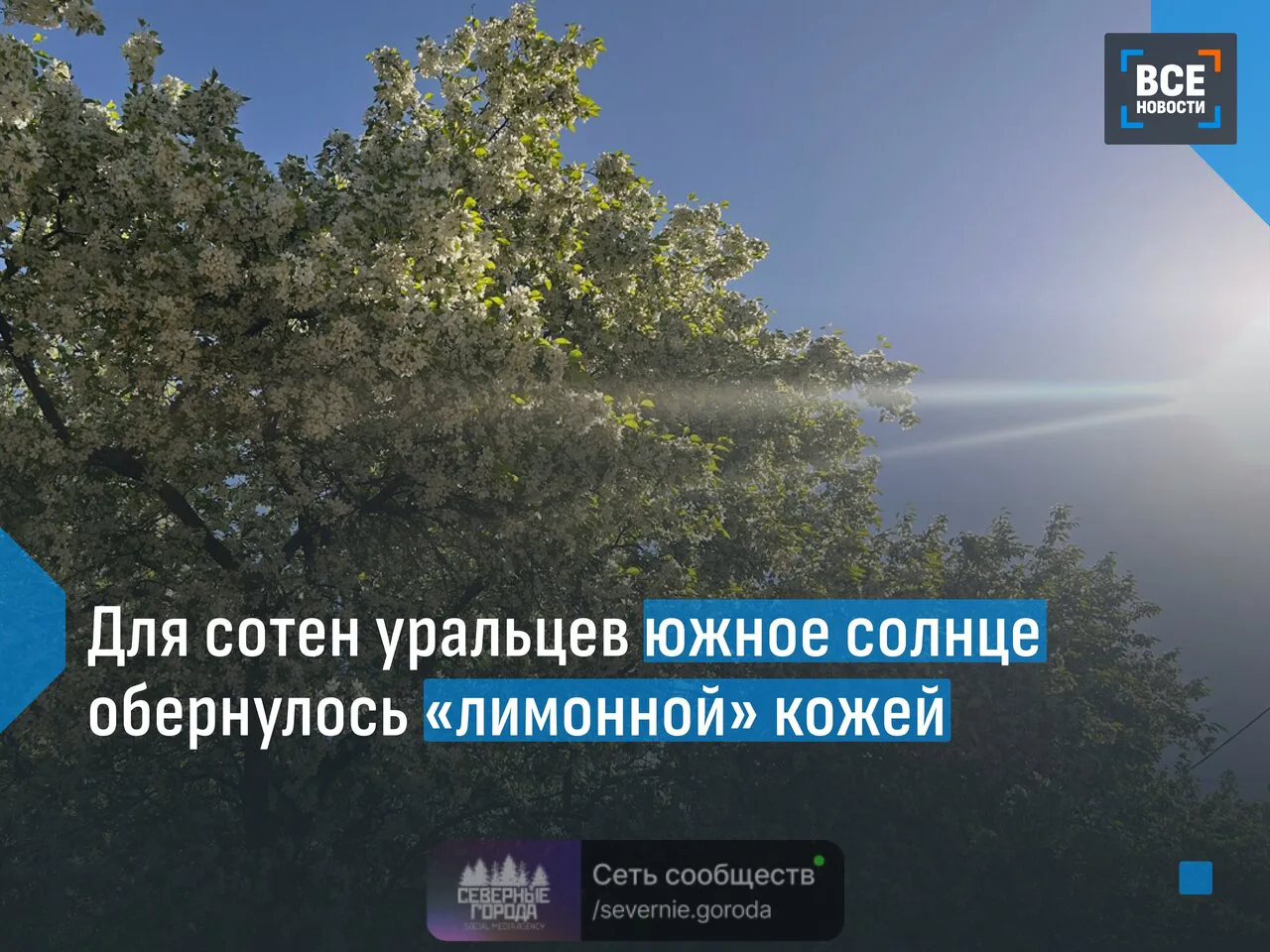 🌞За лето 2026 года областной кожвендиспансер зарегистрировал более 300 обращений пацие...