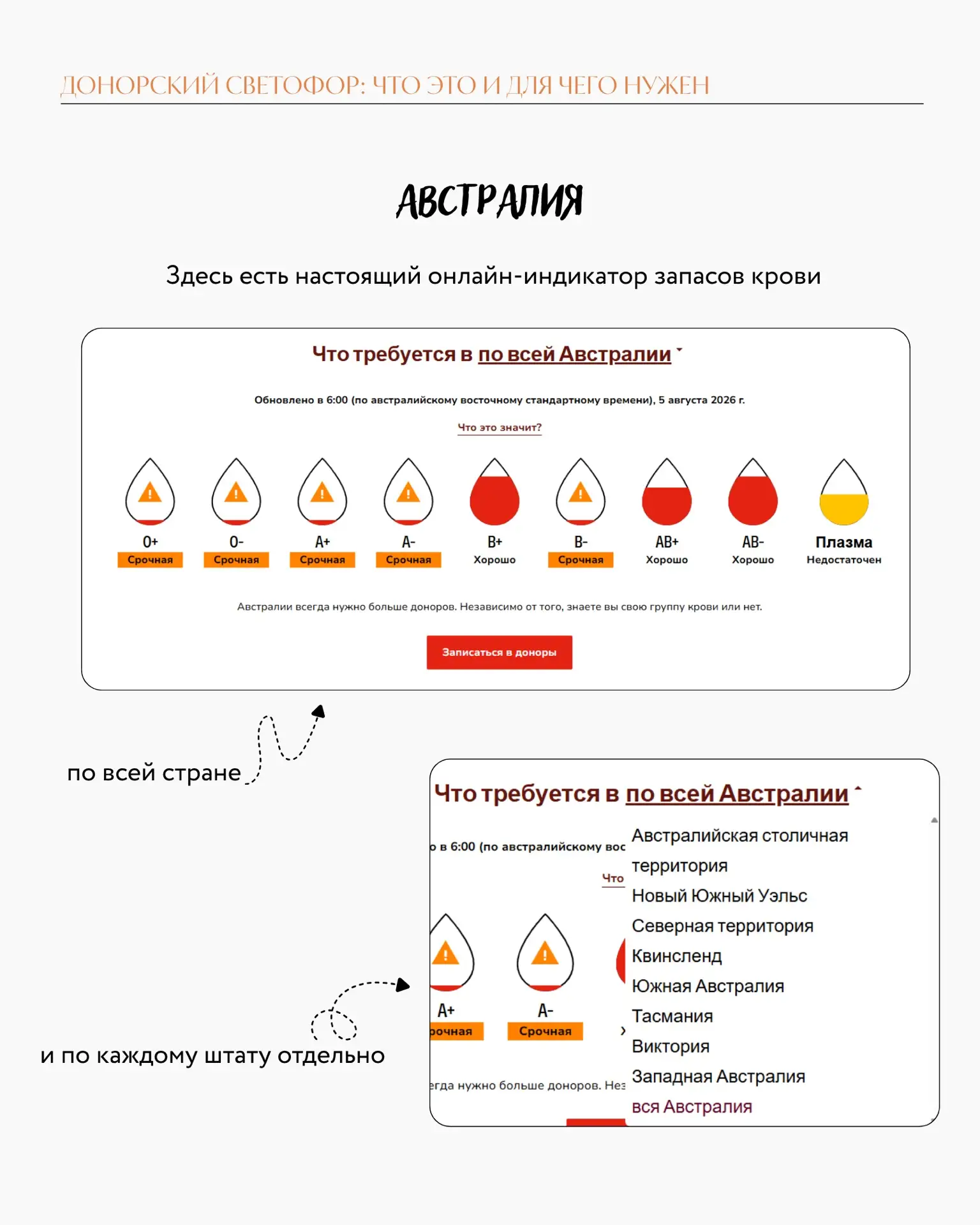 Донорские светофоры мира: как разные страны сообщают о потребности в крови