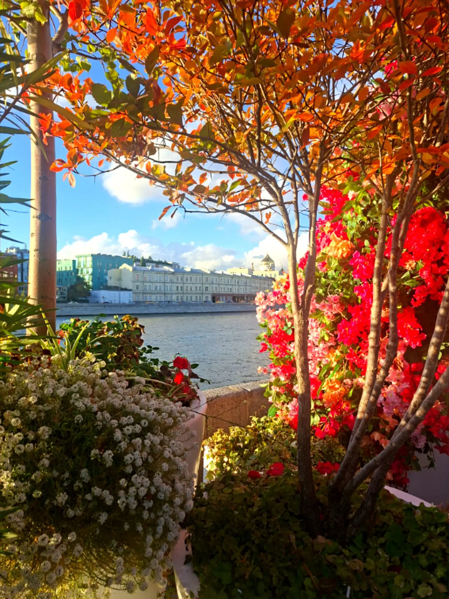 Осень в Москве 🍁🍂🍁🍂🍁🍂🍁