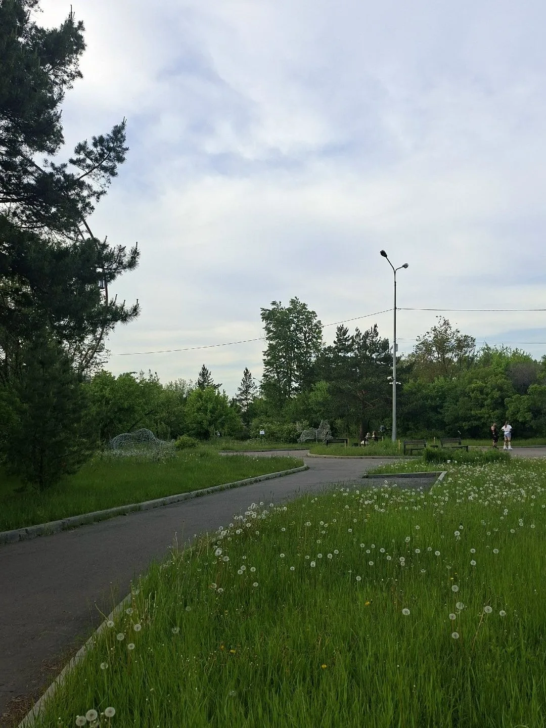 Парк Юнность🌲🎡🌳

📸 Елена Сергеевна
