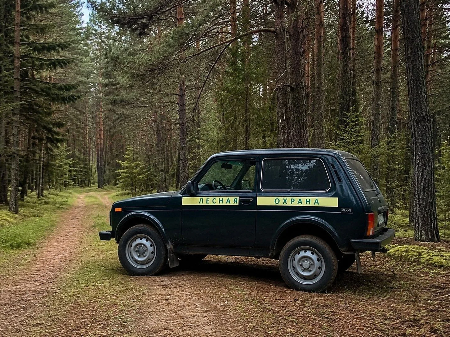 🌲С начала года в Орехово-Зуевском лесничестве проведено свыше 1800 патрулирований