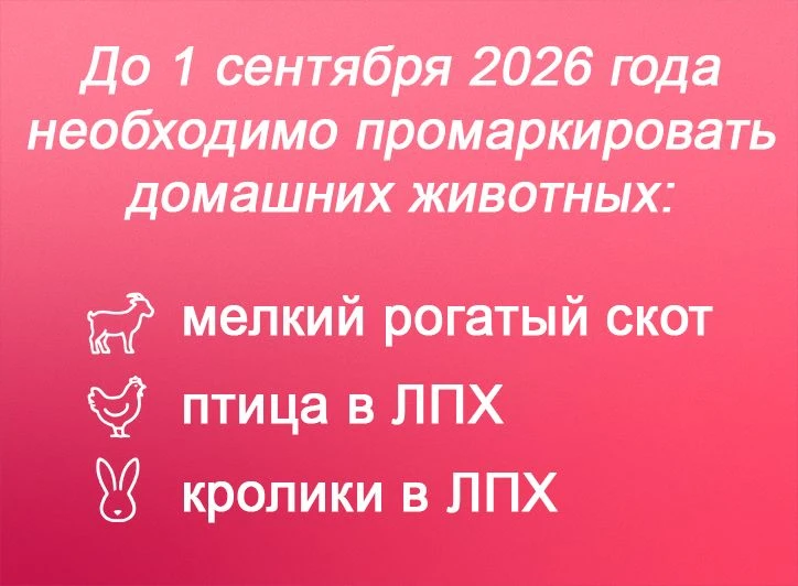Памятка по учету и идентификации животных