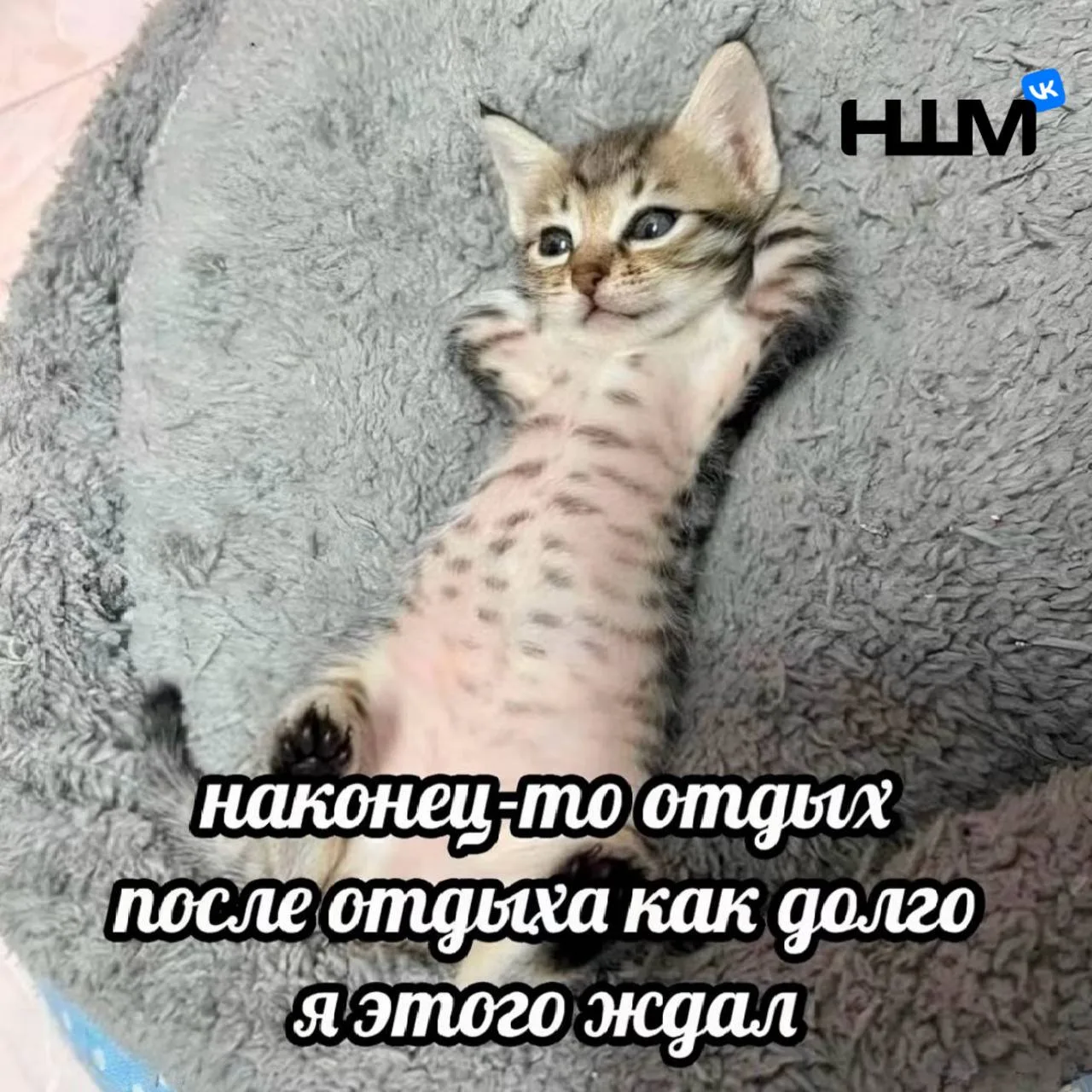 Сегодня день, которого нет в календаре 😨

25 июля — «День вне времени». В календаре «13 лун» он не 