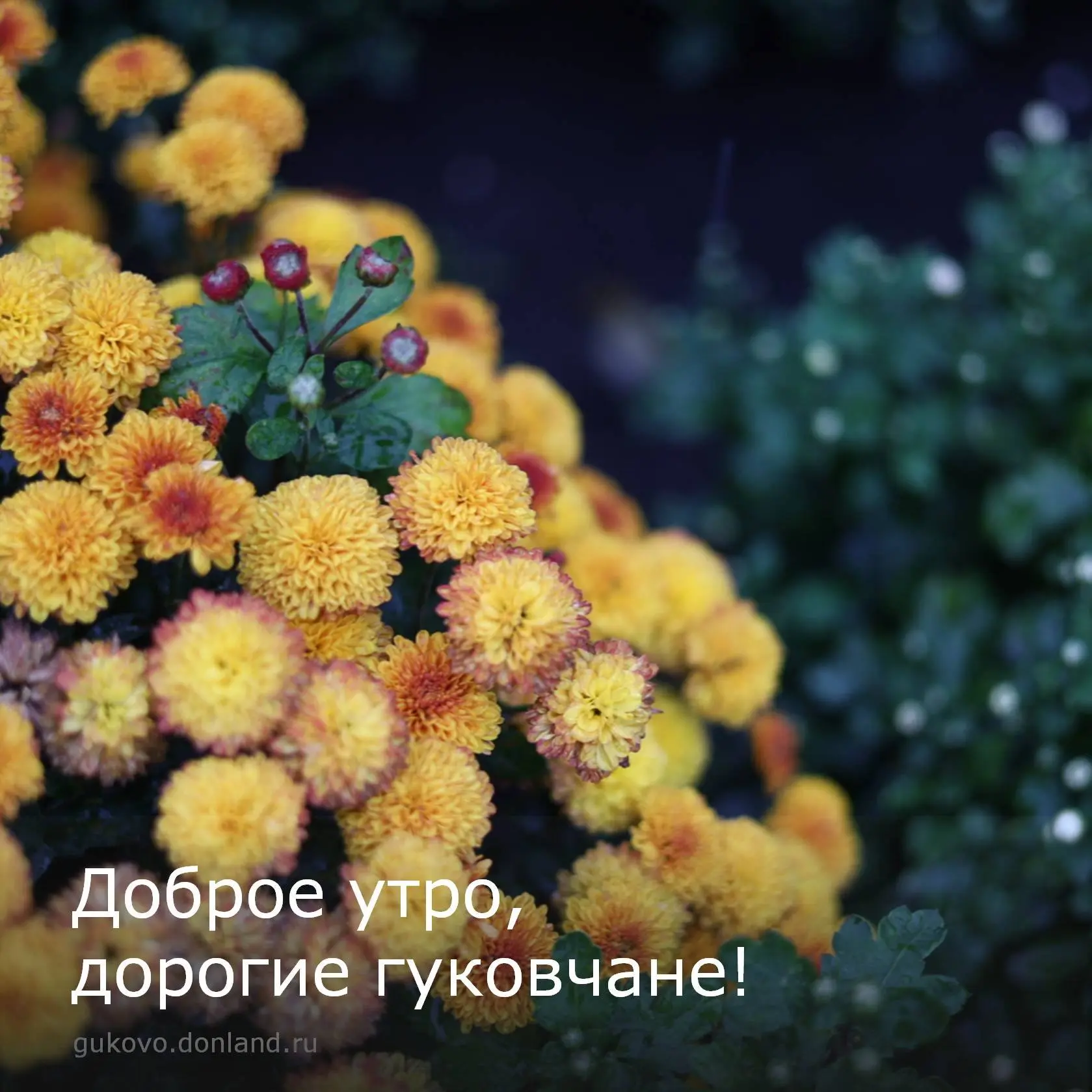 С добрым утром, гуковчане🍂