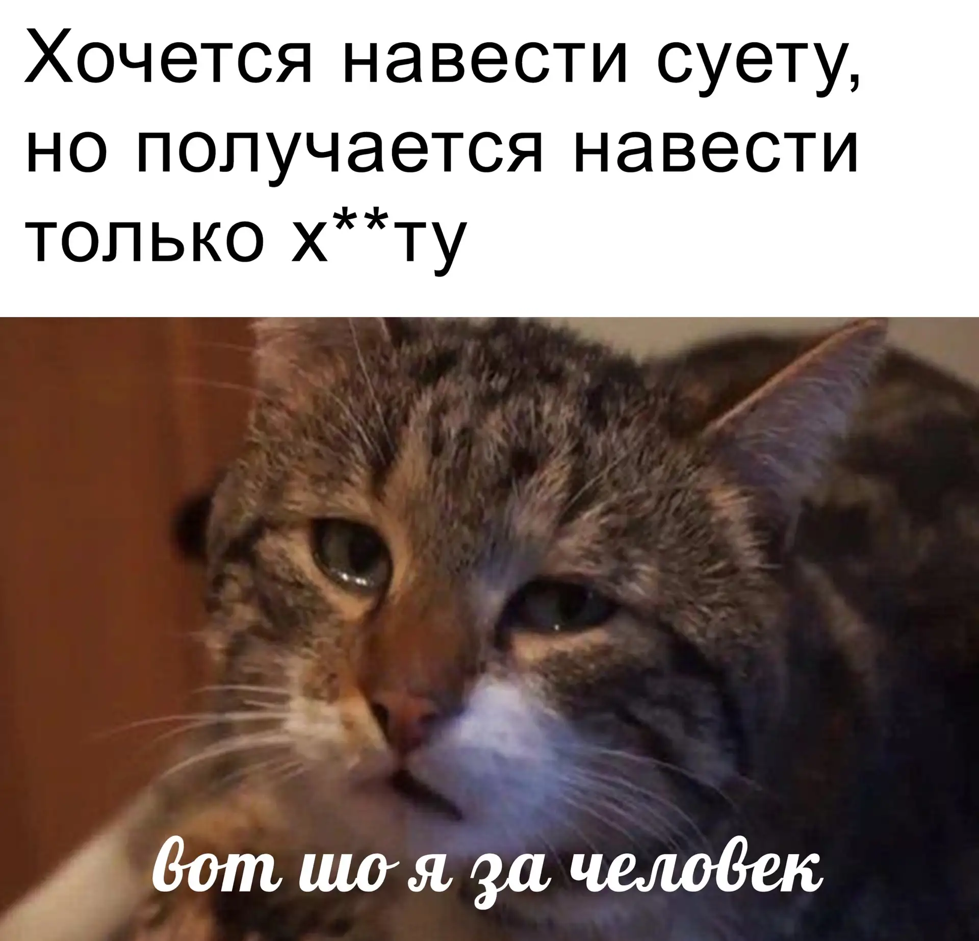#МЕМЫ