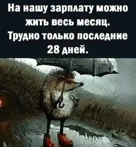 Весёлые анекдоты