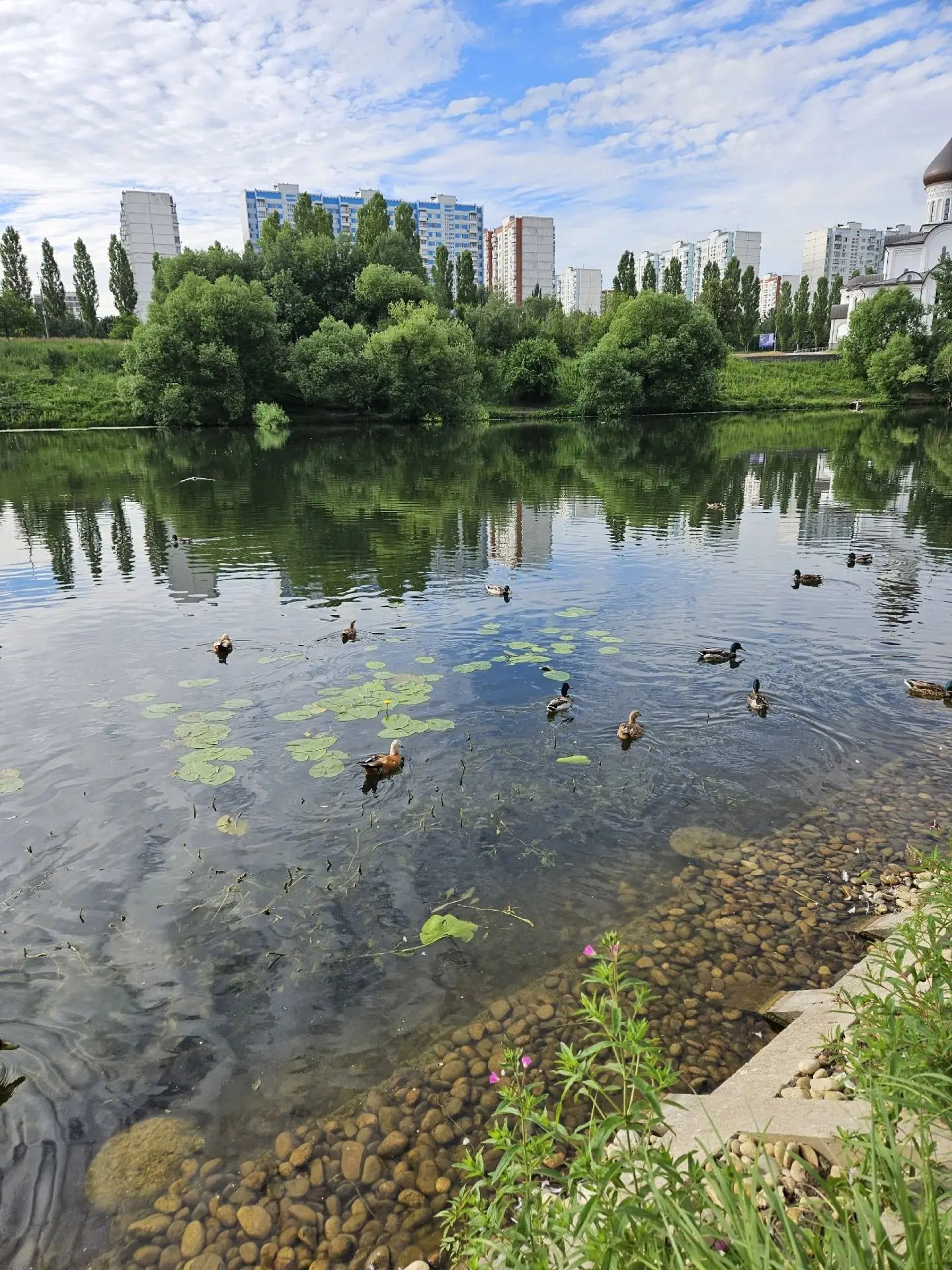 Большой Очаковский пруд в объективе Людмилы Горелик 📸