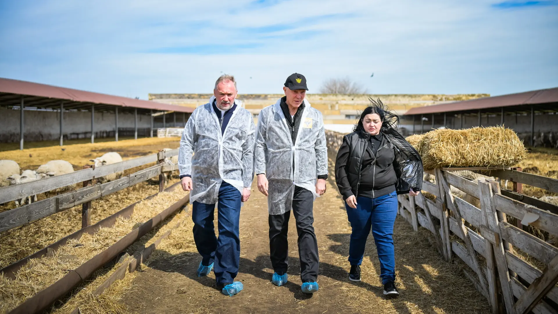 🐑 Во время поездки в Асканию-Нова посетили овцеферму Института животноводства степных ...