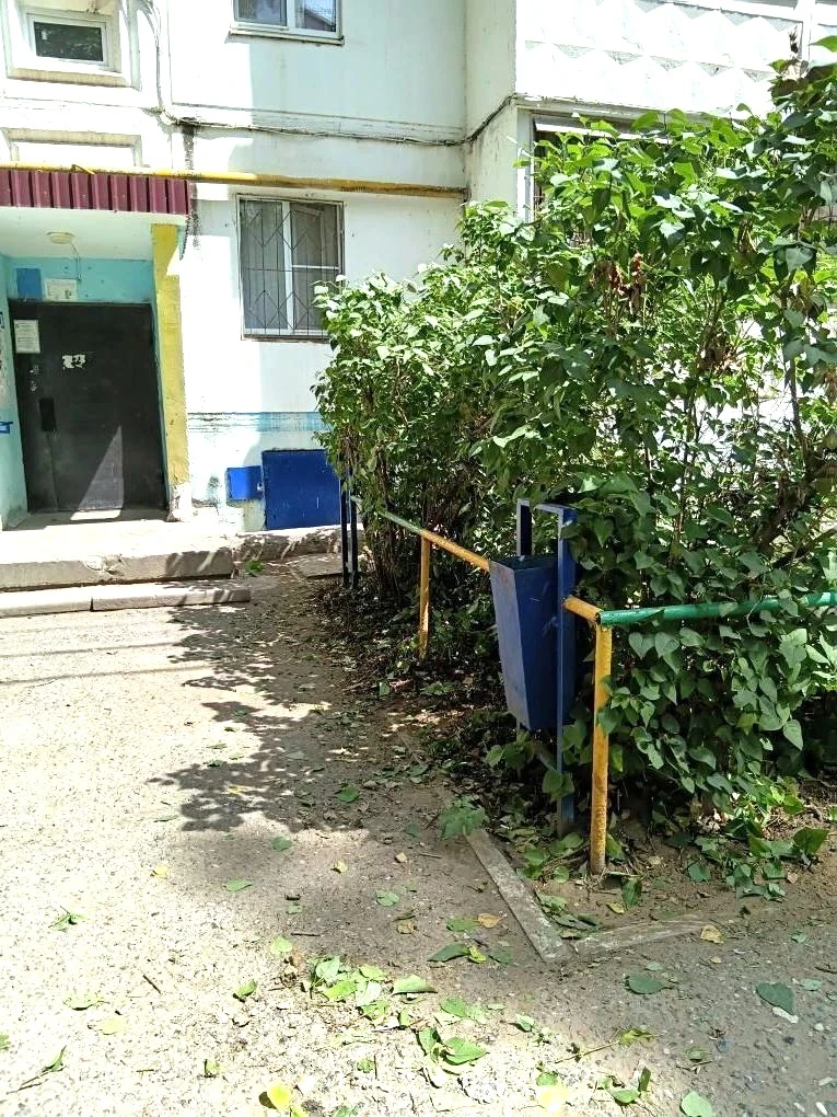 К новости «✂️ «Зеленый парикмахер» 🌳»
