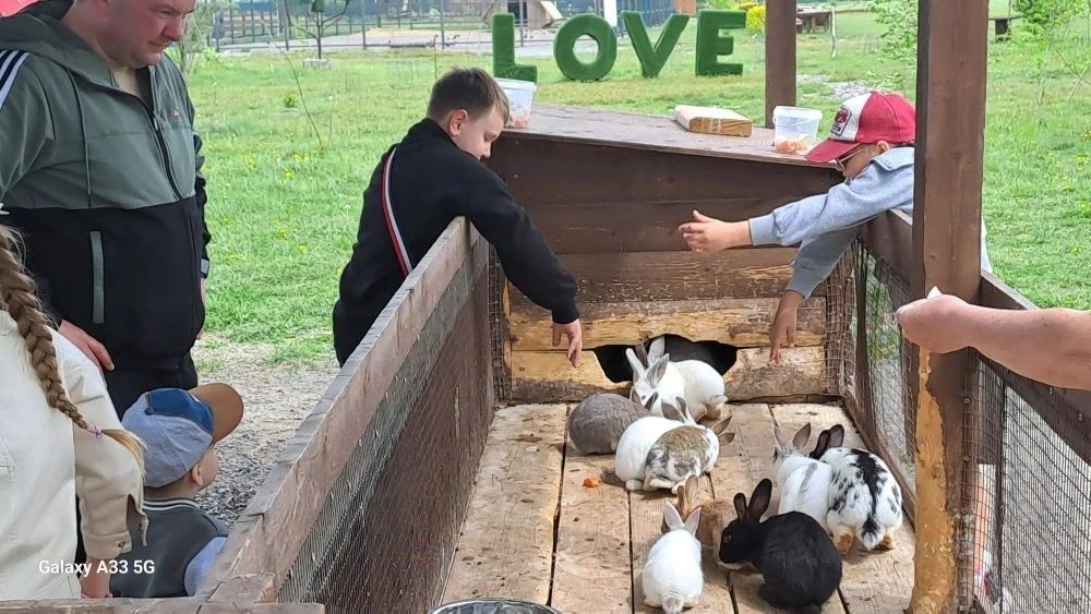 Школьная экскурсия в зоопарк и парк развлечений
