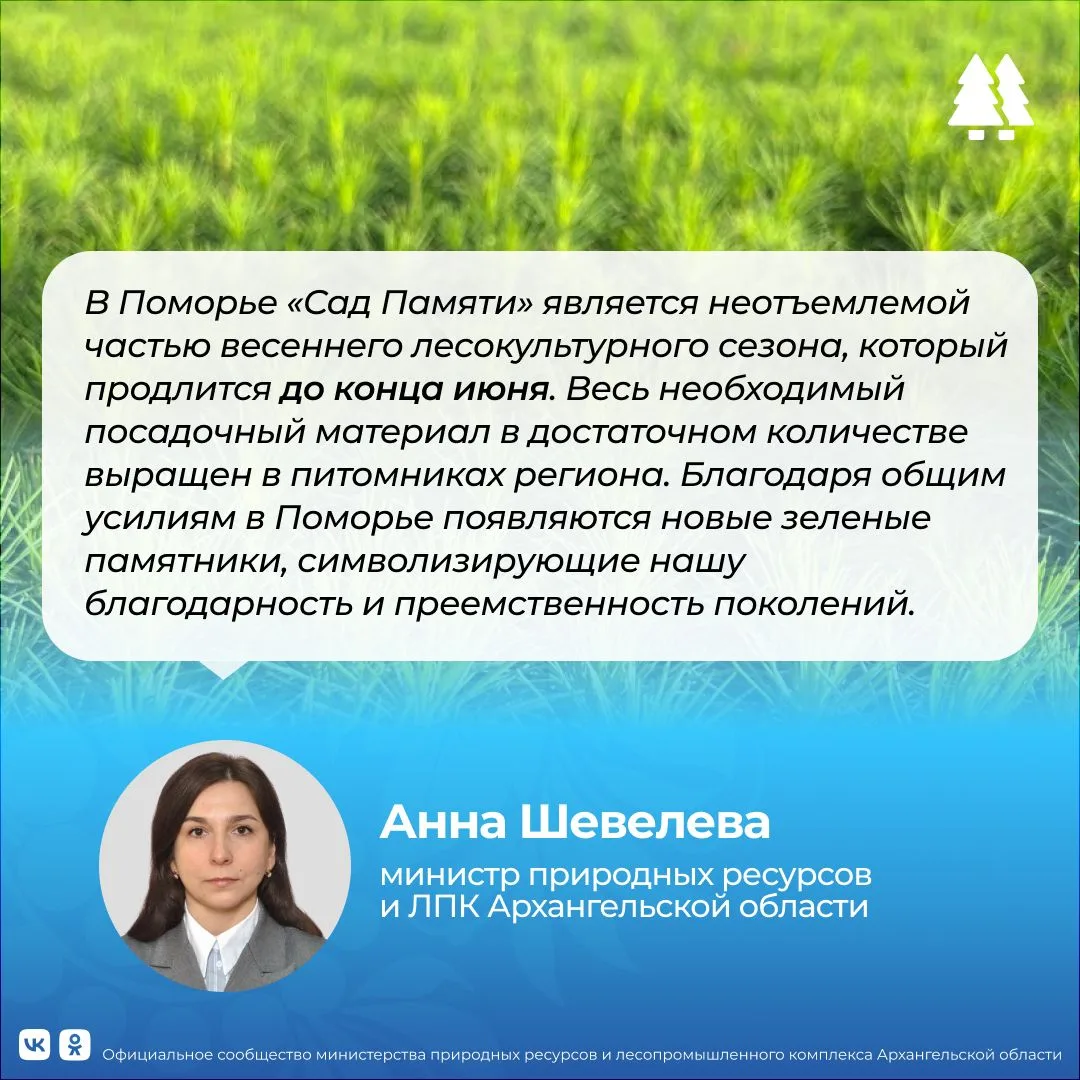 ✅🌱 В рамках акции «Сад Памяти» высажено уже более 300 тысяч деревьев

В регионе продолжаются меропр