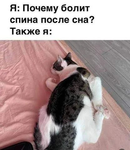☕️ Доброе утро, друзья