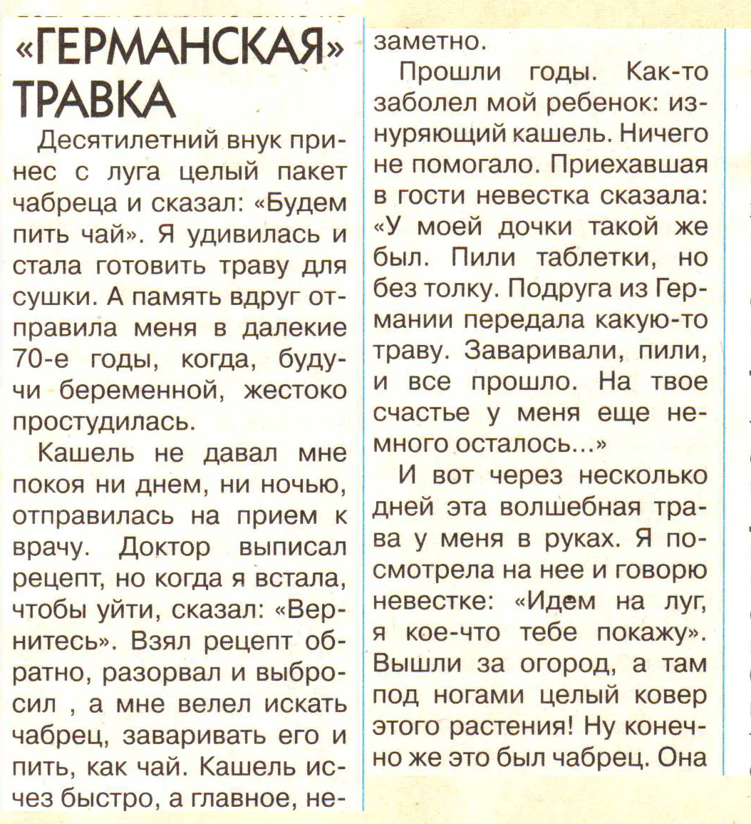 🌿 Чабрец от кашля