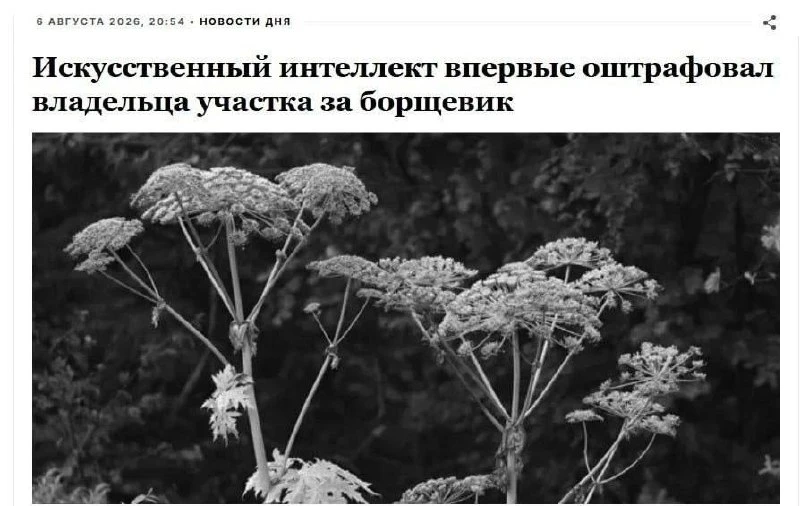 Первый штраф за борщевик с участием ИИ получил россиянин