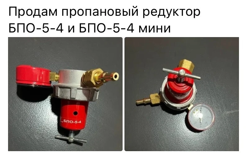 👤 Светлана Шитова