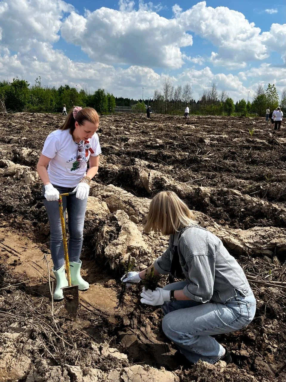 Сегодня в Подмосковье проходит акция "Сад памяти".   🌲Сотрудники Минтранса Подмосковья во главе с пе