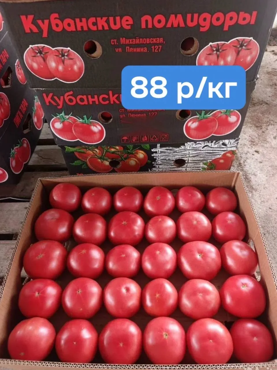 ✅КАЧЕСТВЕННЫЙ ПОМИДОР СЛИВКА 50 р/кг

✅БАКЛАЖАН СВЕЖИЙ 78 р/кг 

✅ПЕРЕЦ КРАСНЫЙ БОЛГАРСКИЙ 100 р/кг 
