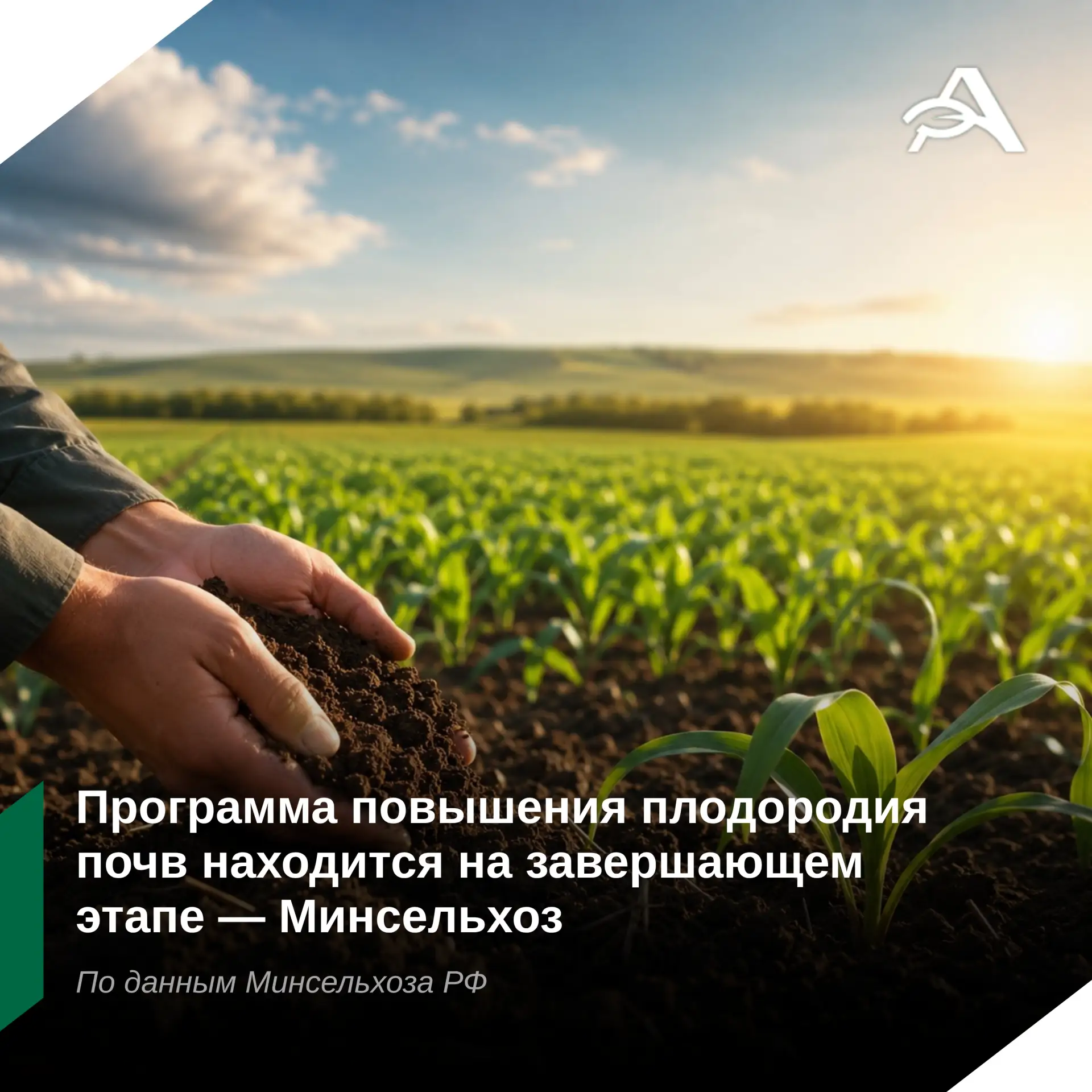 🌱 Минсельхоз завершает разработку программы повышения плодородия почв