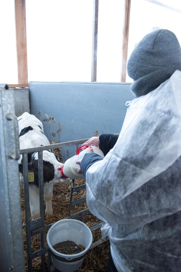 🐄ЭКСКУРСИЯ В МОЛОЧНОЕ ЦАРСТВО🐄  🐄 18 декабря 2025 года ученики 7 «А» класса вместе с классным руково