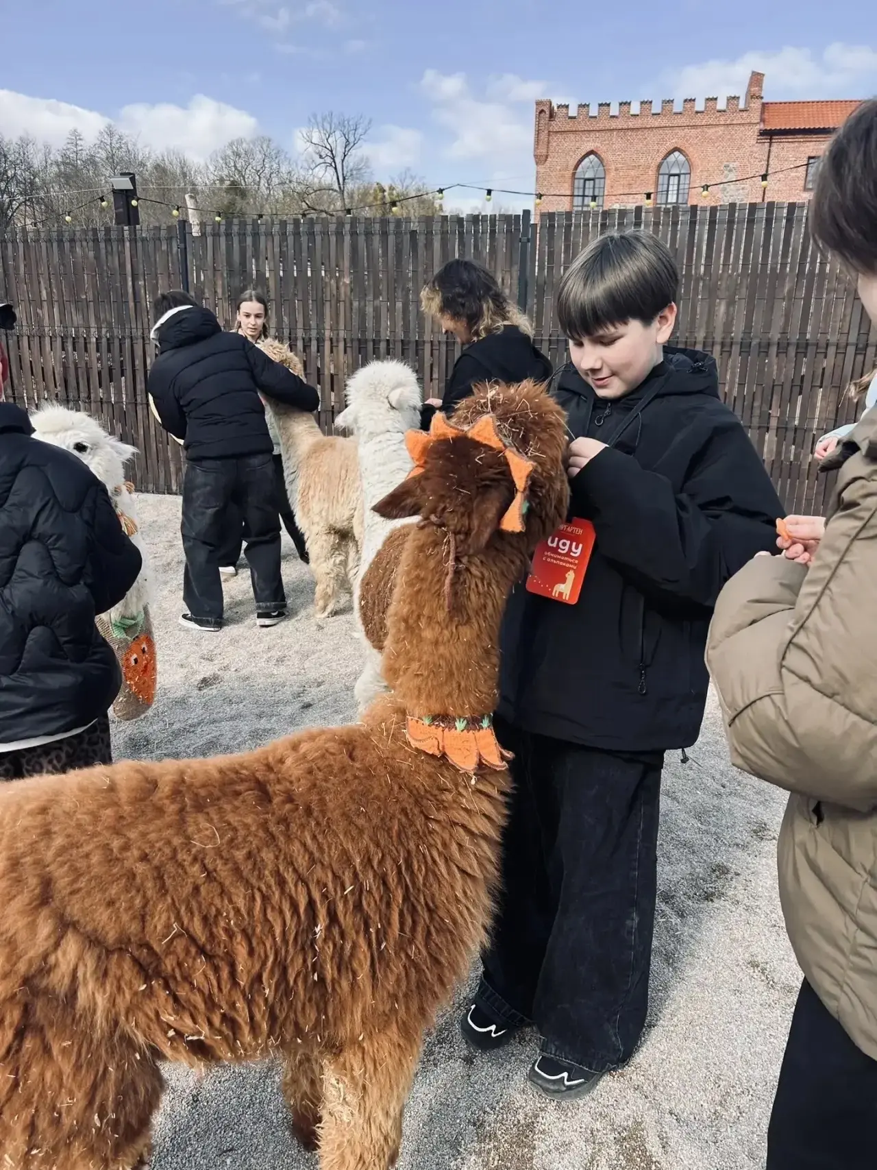 Каникулы начинаются с добра! 🥕🍃 Ученики 7В побывали в Парке Альпак. Говорят, что это место, где у ст