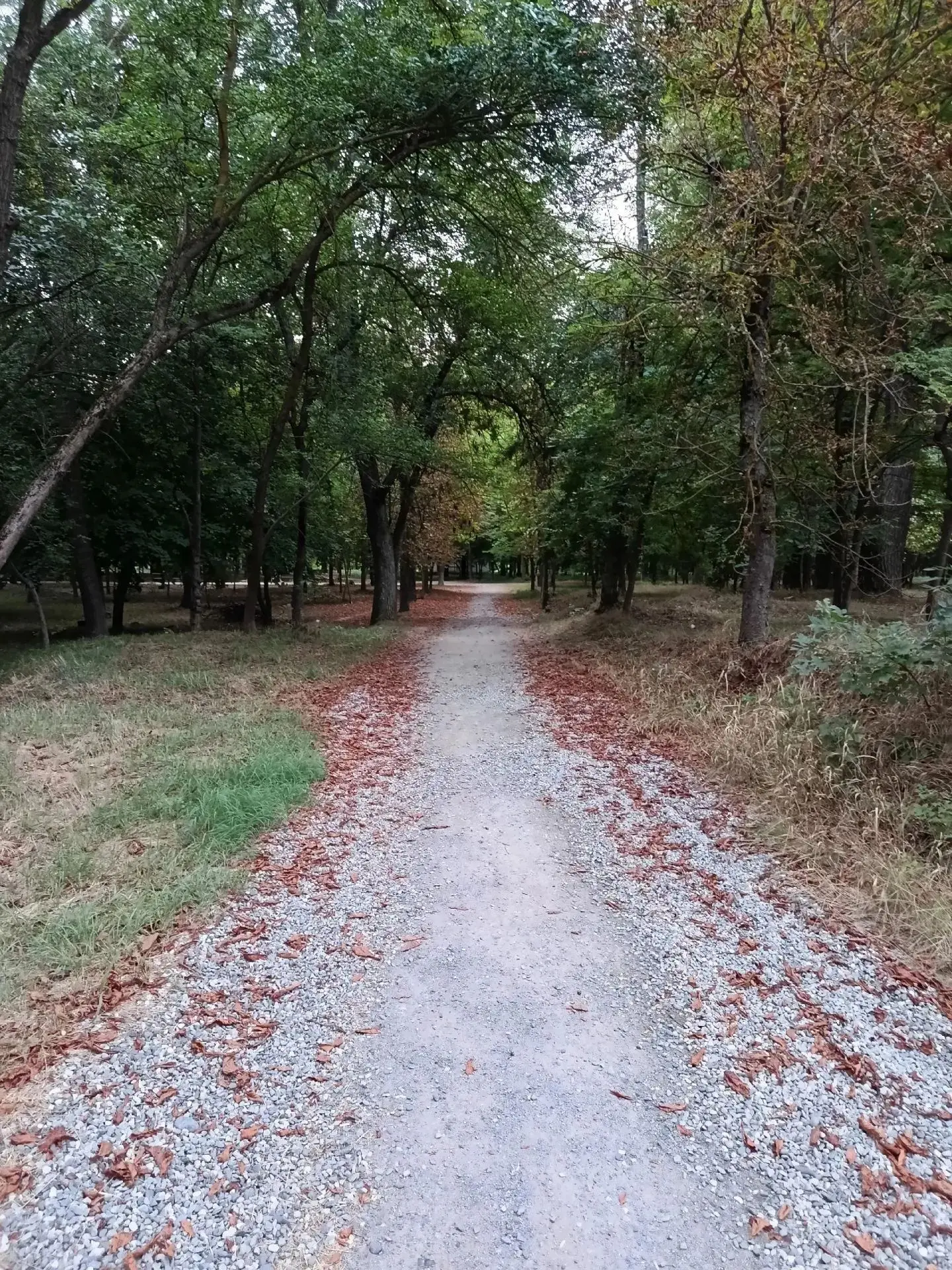 Лето пролетело. 🍂😢