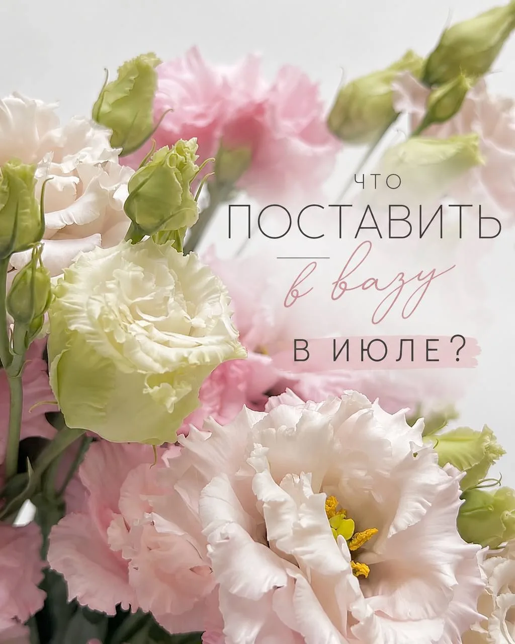 ЧТО ПОСТАВИТЬ В ВАЗУ В ИЮЛЕ? 🎀🌸
Июль — это время лёгких, ярких и по-настоящему летних цветов ✨
Что