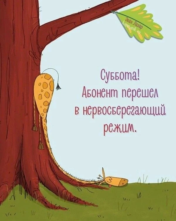 ...с наступающими выходными ☀️