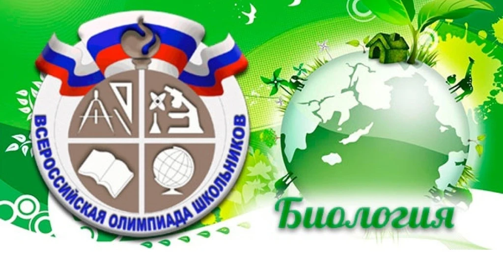 В четверг 8 октября проводится олимпиада по