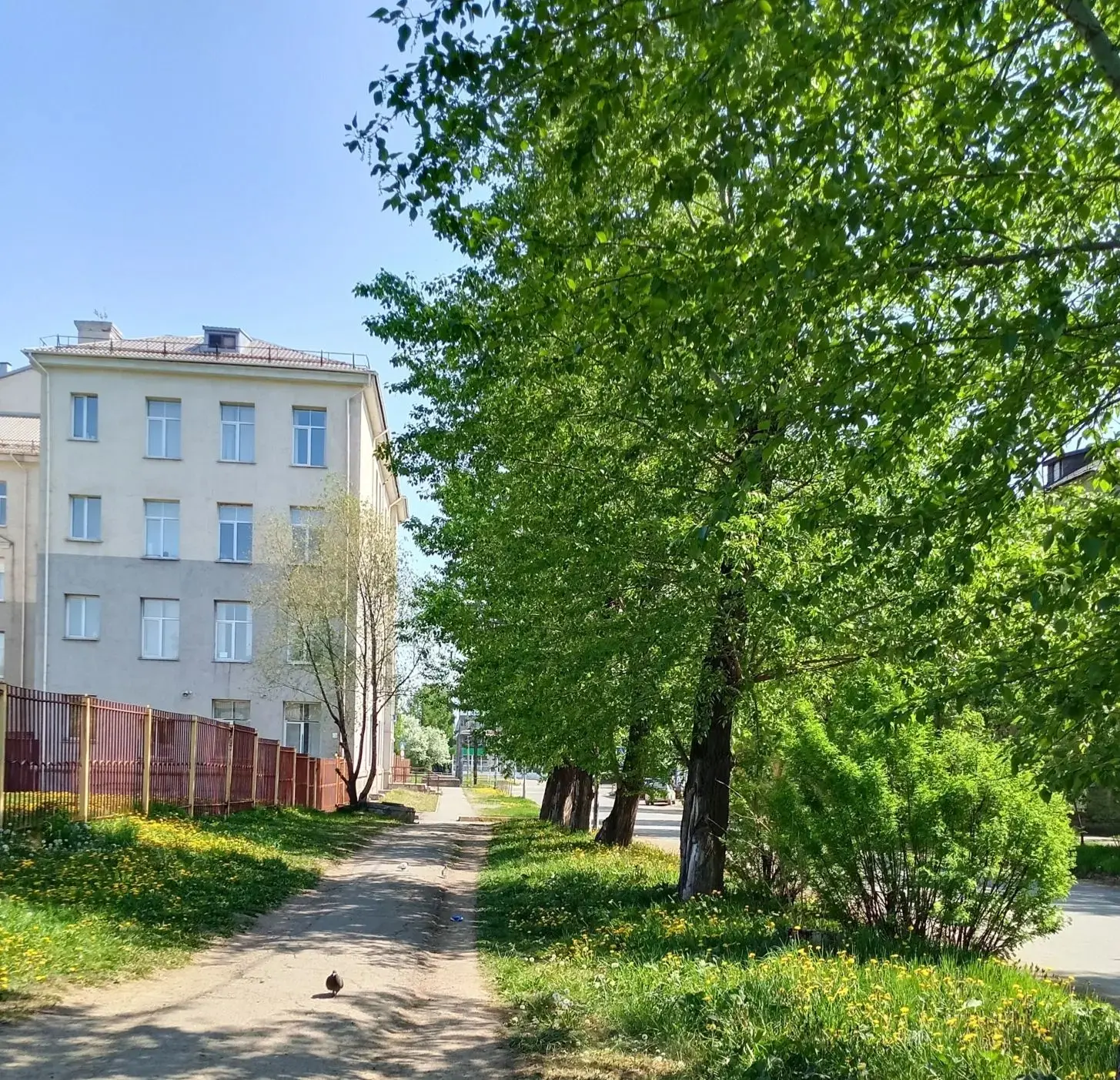 Доброе утро! 🌞