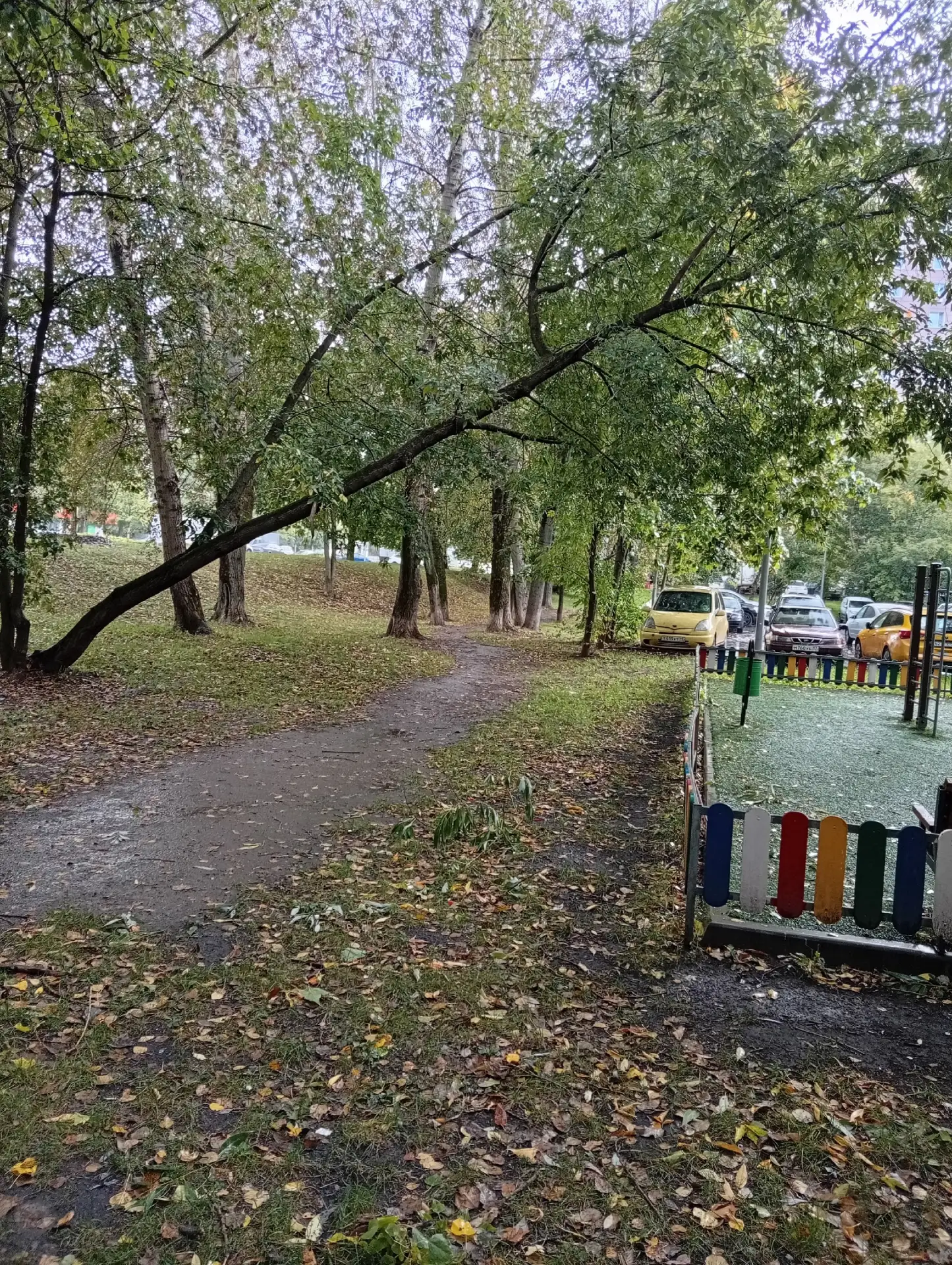 От подписчика: