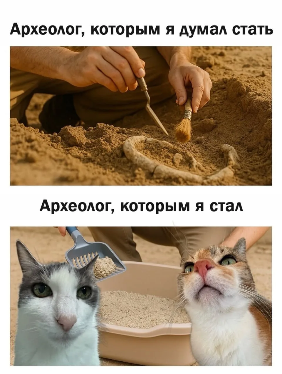 Немного истории: учёные выяснили, кто жил на Дону с древнейших времён до Золотой Орды.