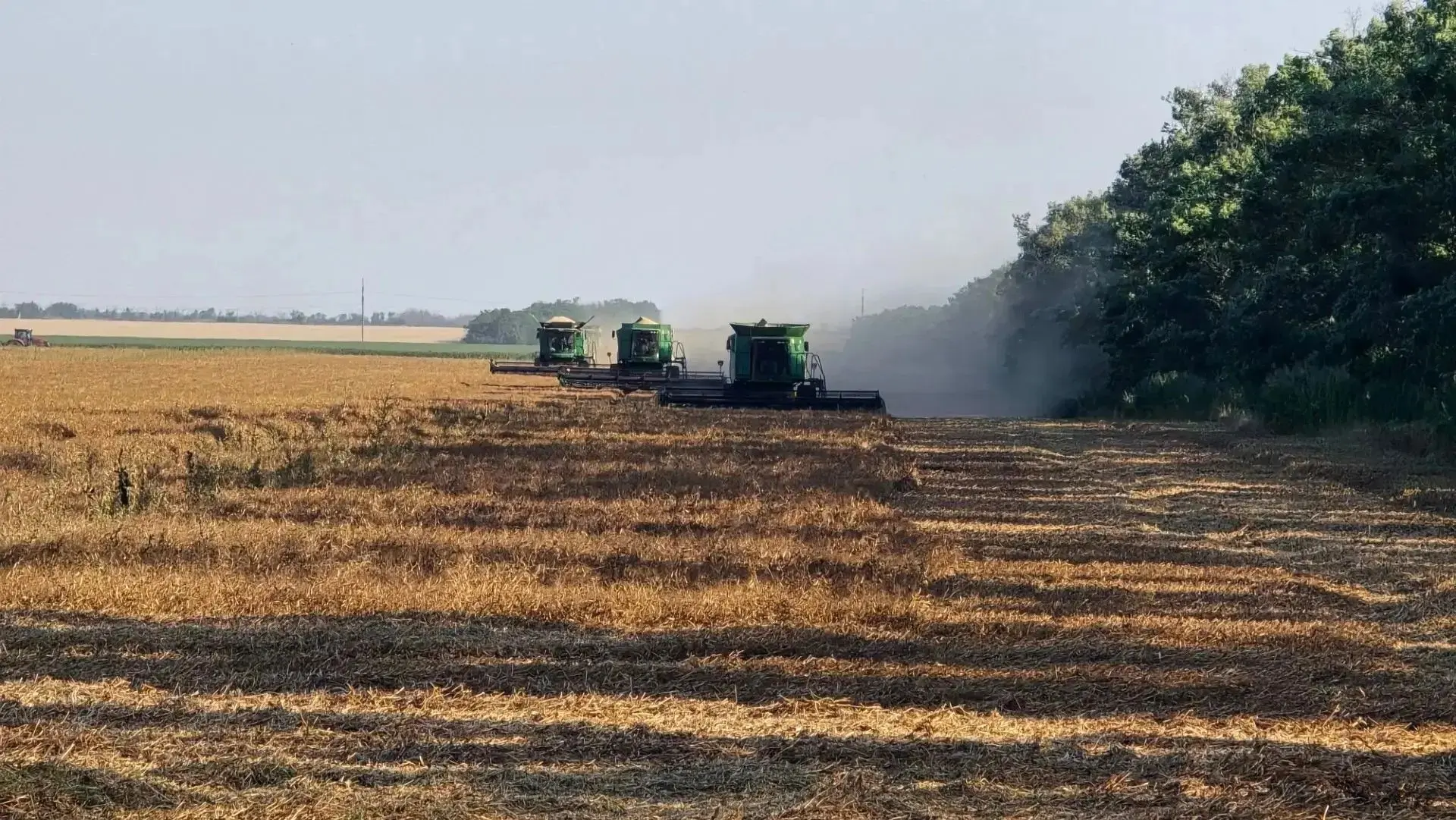 🌾Почти весь озимый ячмень убран на полях Ейского района