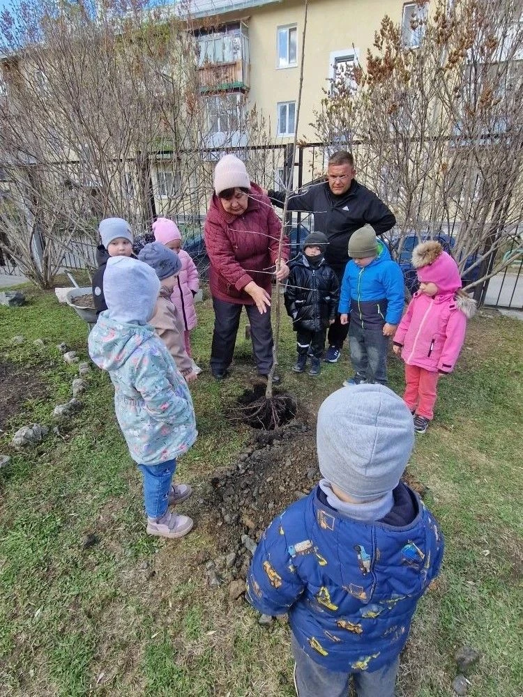 ЮНЫЕ ЭКОЛОГИ «РОМАШКИ» ВНЕСЛИ ВКЛАД В ЗЕЛЕНОЕ БУДУЩЕЕ.