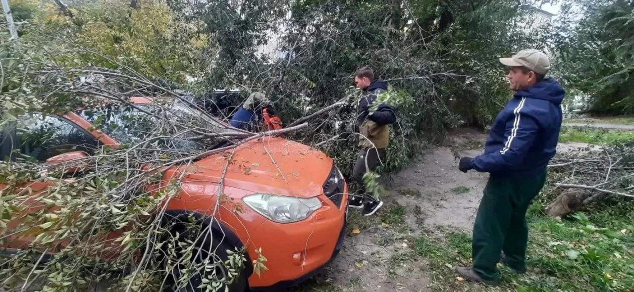 В Барнауле устраняют последствия непогоды. Из-за порывов ветра до 16 м/с зарегистрирова...