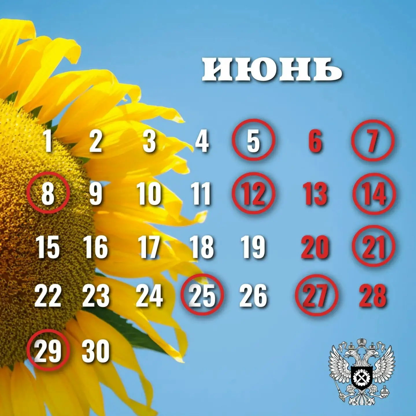 Роструд рассказал о праздничных и выходных днях в июне 🌞🌸🌿