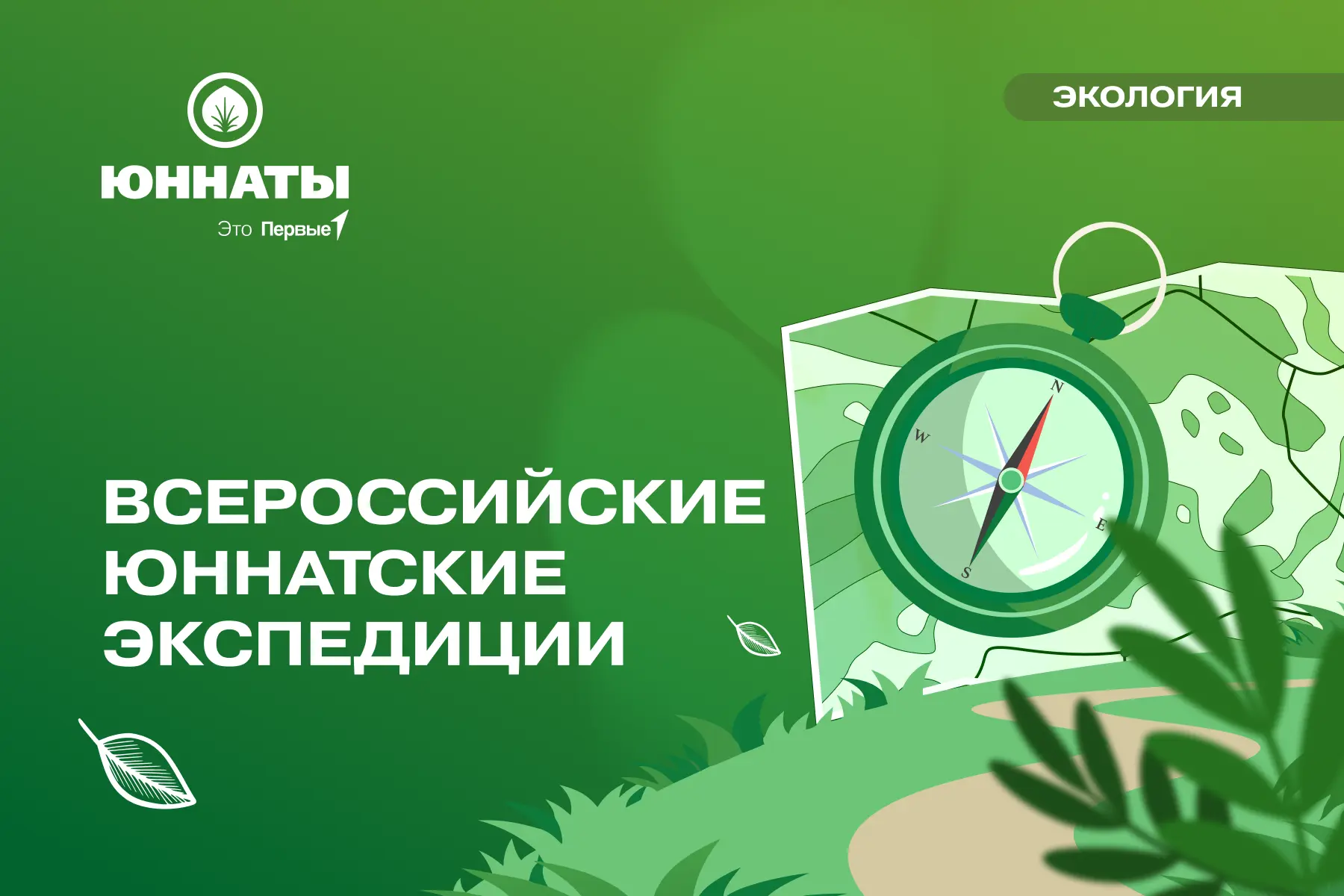 Где рождаются открытия? Во Всероссийских юннатских экспедициях Движения Первых 🔍  Узнавай природу и 