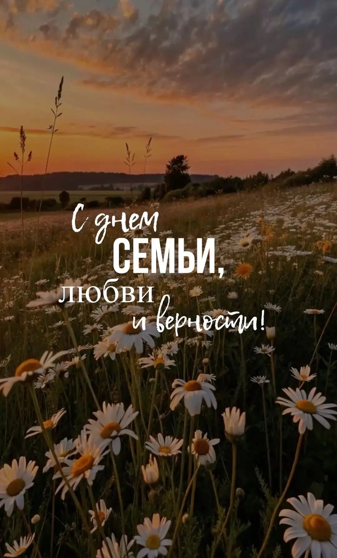 С Днём семьи, любви и верности ❤️