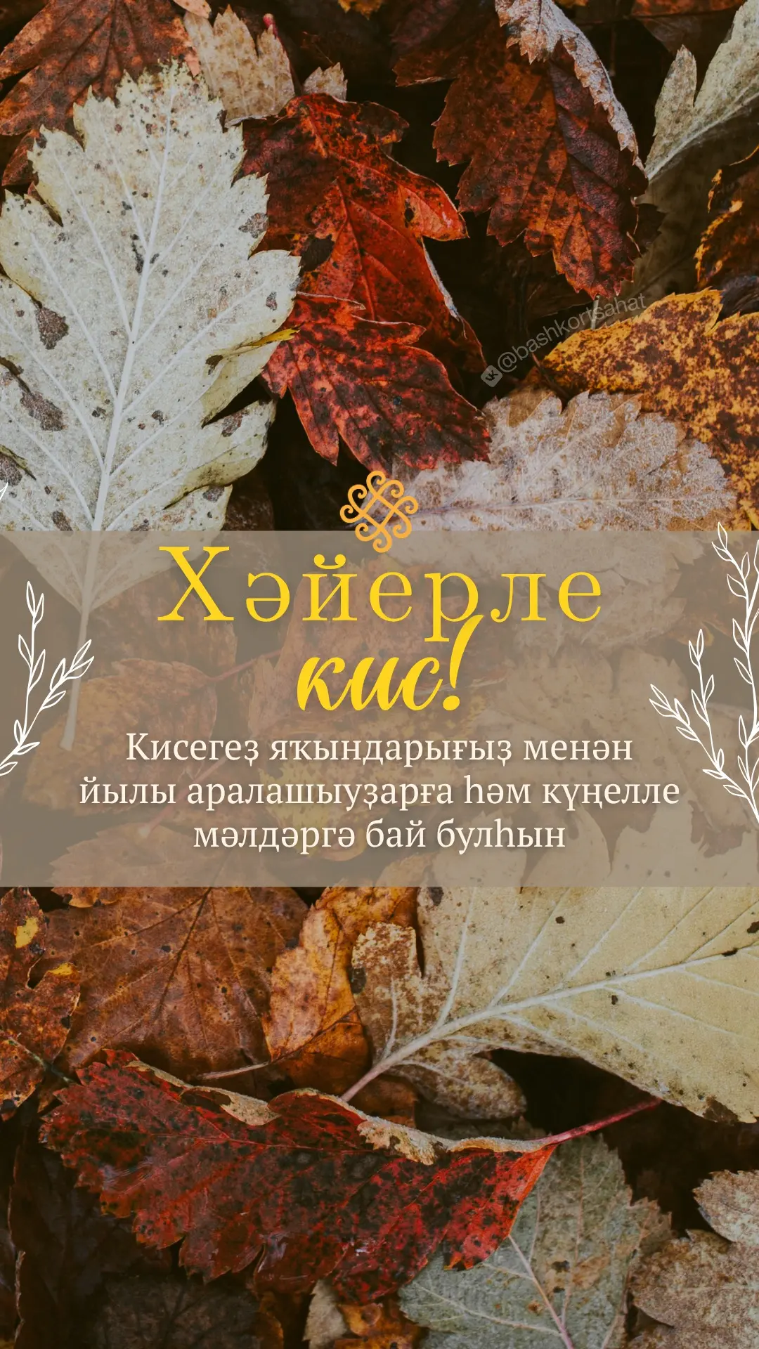 #хәйерлекис