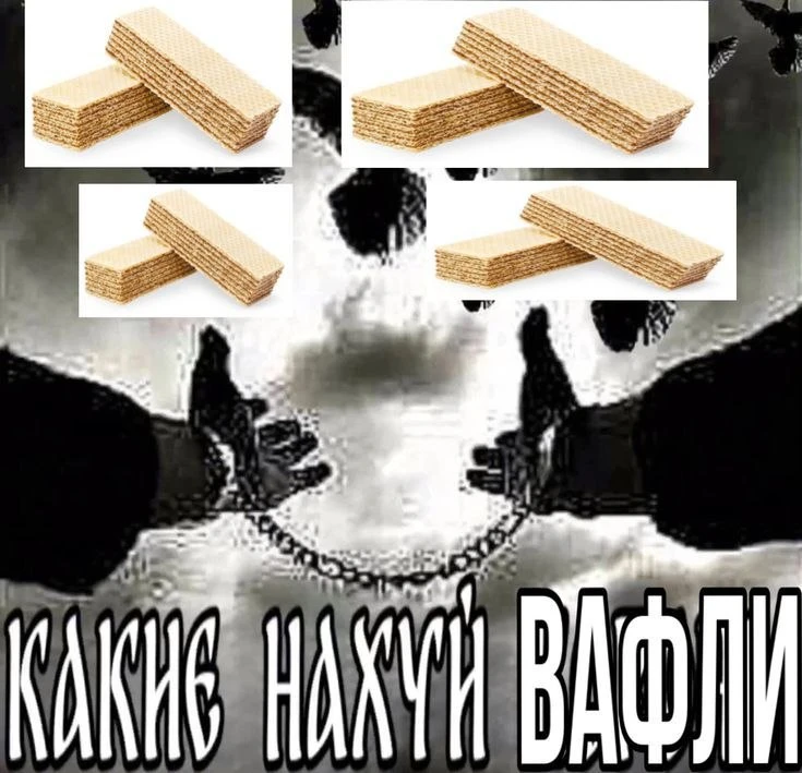 величайшие вопросы всех времён и народов: