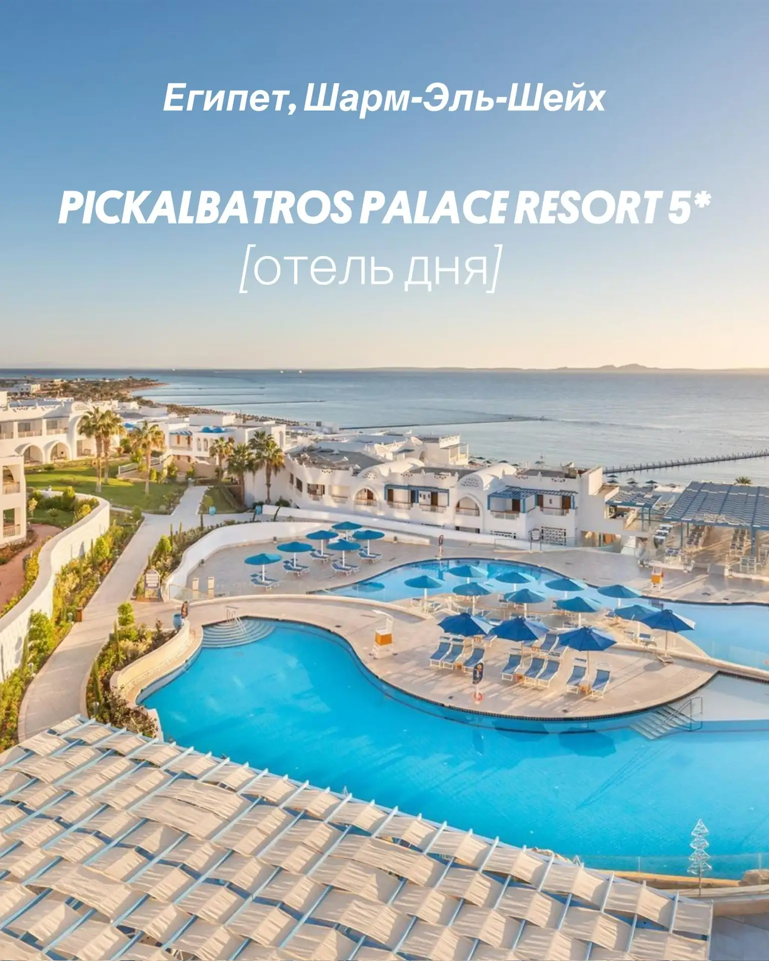 PICKALBATROS PALACE RESORT 5* Египет, Шарм-Эль-Шейх
