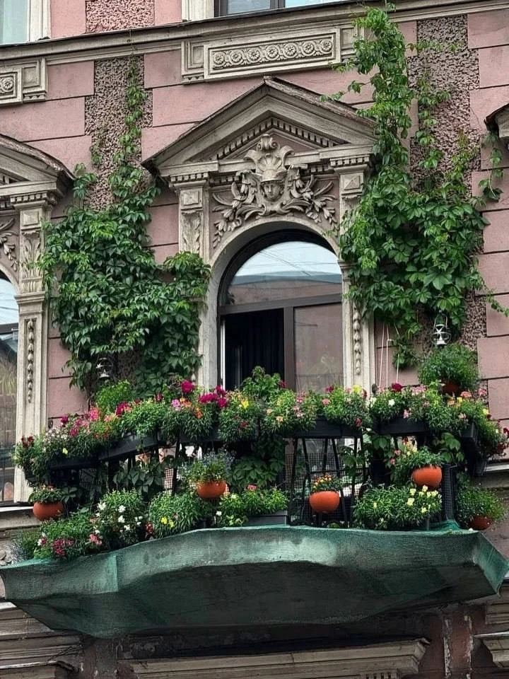 Цветочный балкон Петербурга😍