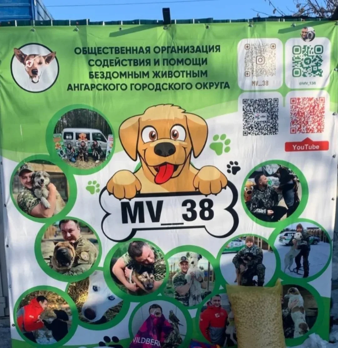 🇷🇺 Поможем приюту «Помоги выжить» вместе!