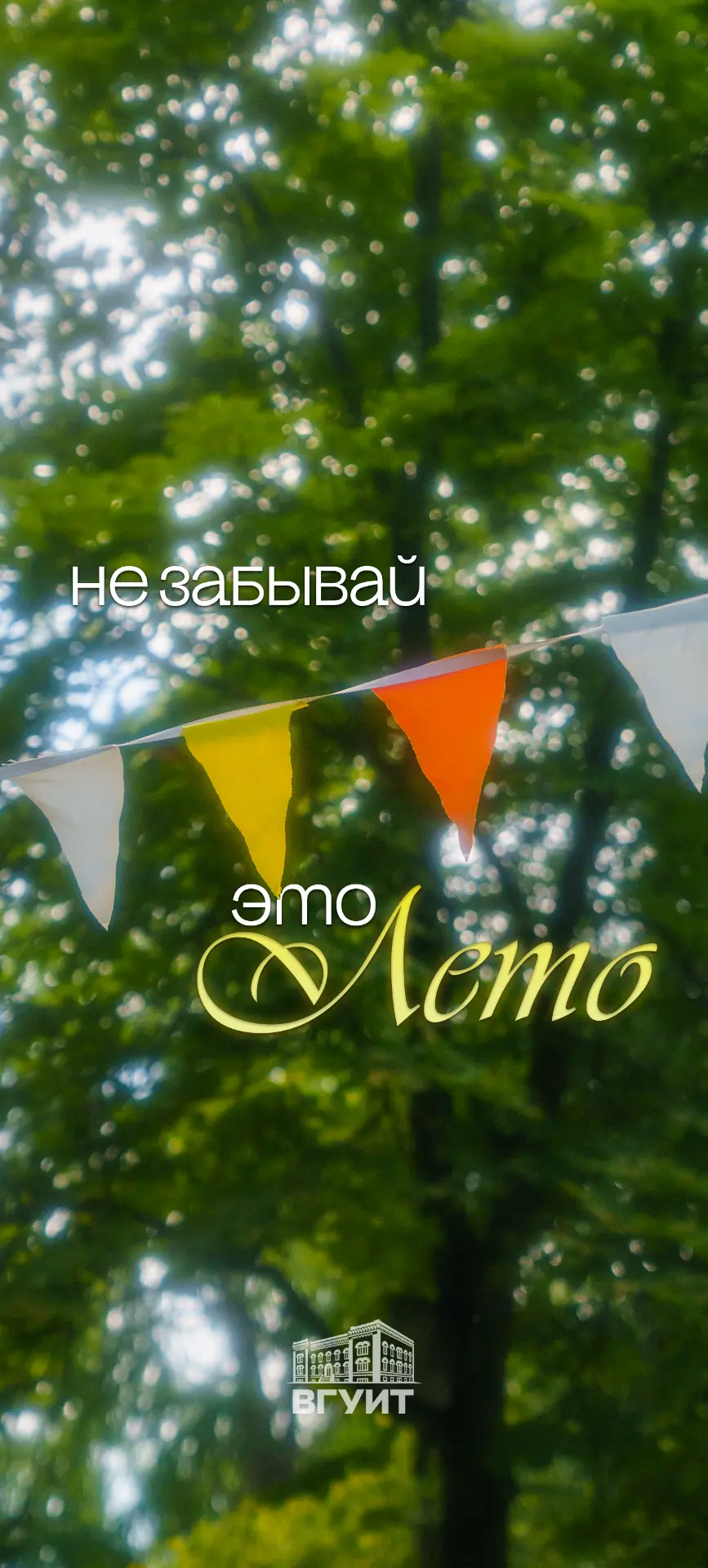 Лето в каждом кадре: тепло, зелень, вдохновение и немного волшебства ☀️