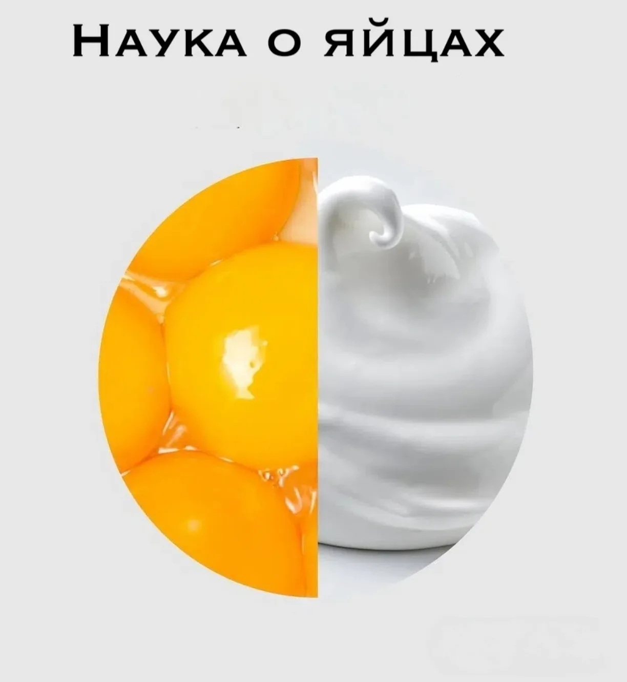 #яйцо #свойстваяйца